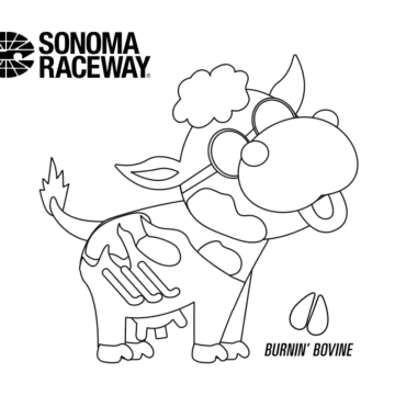 Burnin' Bovine