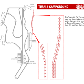 Turn 8
