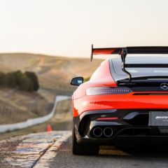 Gallery: Photo Gallery