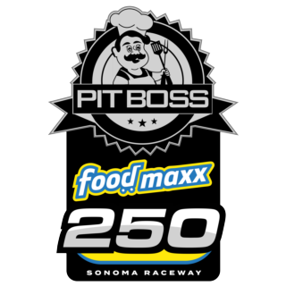 Pit Boss/FoodMaxx 250