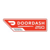 DoorDash 250 Logo