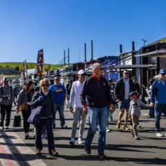 Gallery: Event Gallery