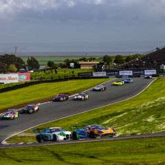 Gallery: Event Gallery