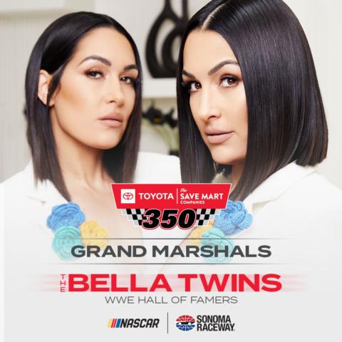 Bella Twins