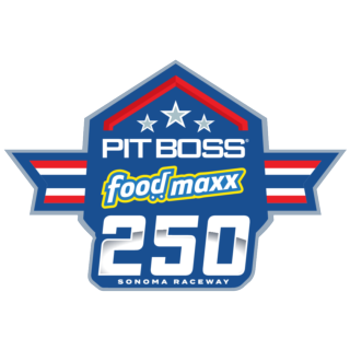 Pit Boss/FoodMaxx 250