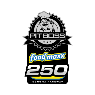 Pit Boss/FoodMaxx 250