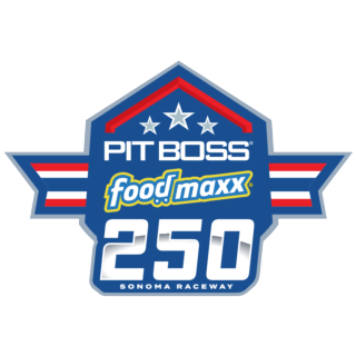Pit Boss/FoodMaxx 250