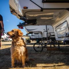 Gallery: Camping Photos