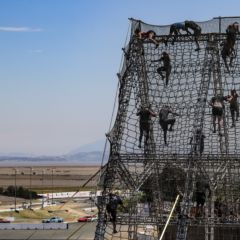 Gallery: Tough Mudder