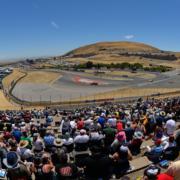 Turn 7 Terrace