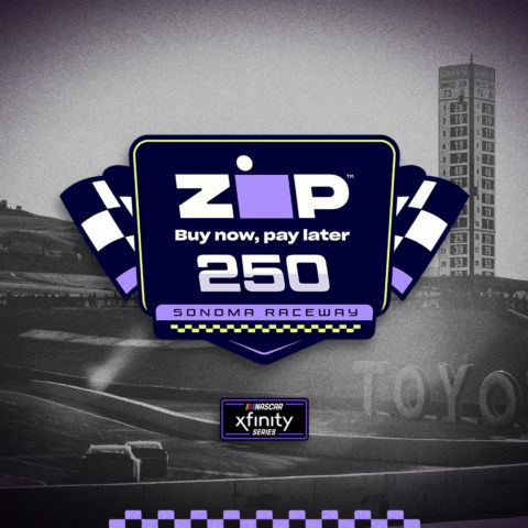 Zip 250